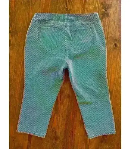 Cato's Denim Railroad Striped High Rise Skinny Crop Jeans,16W Blue