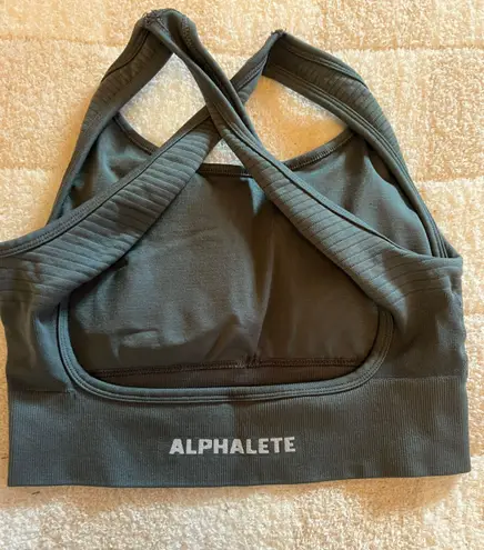 Alphalete Alpha Pete Sports Bra 