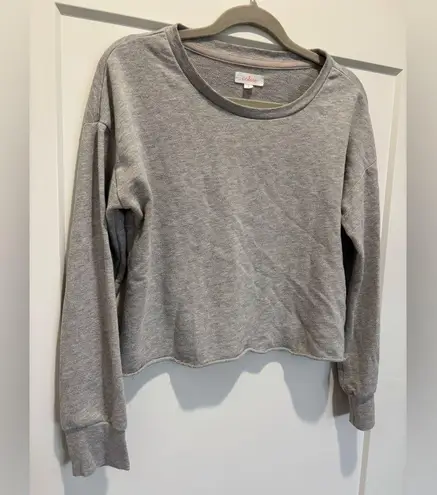 Colsie Gray Cropped Relaxed Crewneck Sweatshirt Size S