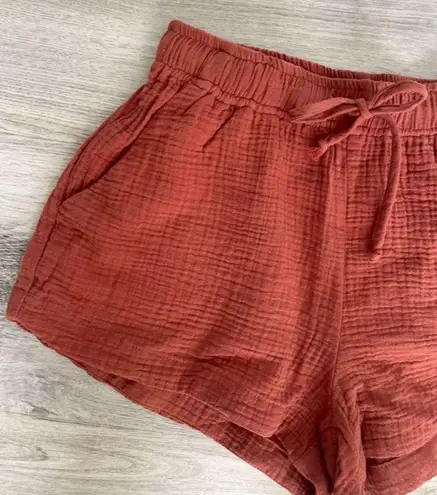 Young Fabulous and Broke  Drawstring Clay Linen Shorts