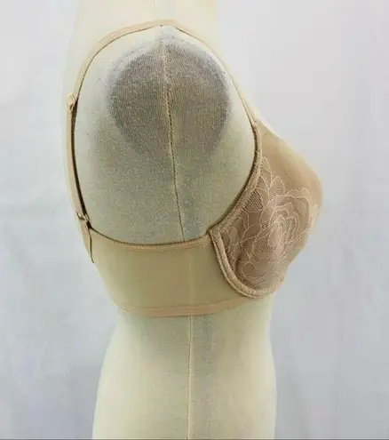 Wacoal Stark Beauty Contour Underwire Bra Cream Tan Lace 30DDD
