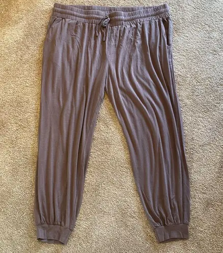 AnyBody Pull On Cozy Soft Joggers Lounge Pants Women's Taupe Size 1X Tan