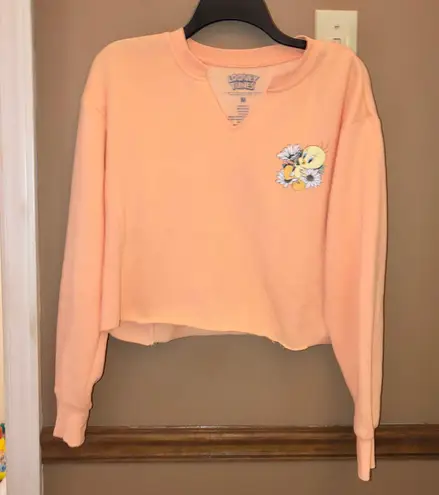 Looney Tunes Tweety Bird That’s all Folks Floral Sweatshirt Orange Medium