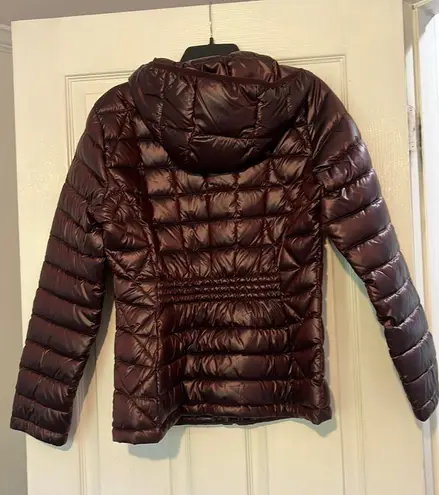 Calvin Klein Puffer Jacket