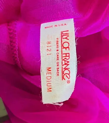 Lily Of France Rosa Puleo-Szule 70's Sheer Chiffon Lingerie Slip Dress Medium