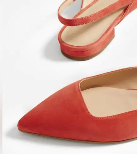 Everlane  The Editor Slingback Suede Flats in Persimmon