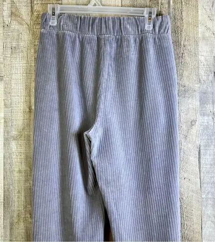 A New Day  Size XS Gray Ribbed Velour/Velvet Style Joggers with Front Poc…