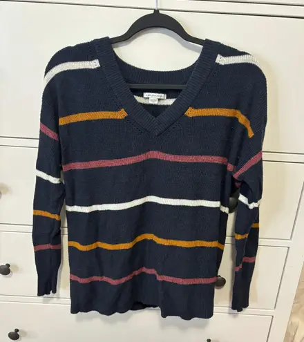 American Eagle Outfitters Sweater