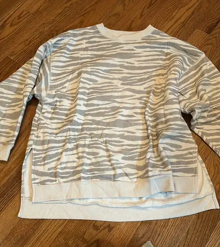 American Eagle Outfitters Crewneck