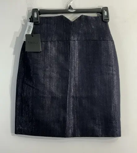 Talula Womans Bustier Mini Skirt Size 0 Silver Indigo Back Zip NWT