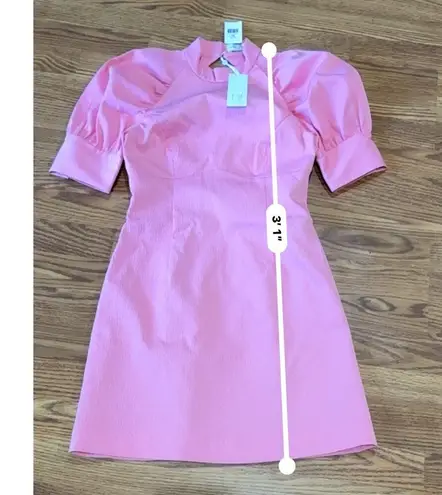 REBECCA VALLANCE Pink Winslow Puff