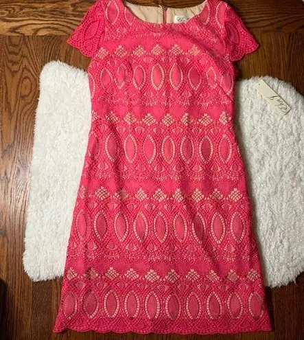 Eliza J Pink Scalloped Lace Crewneck Sheath Dress