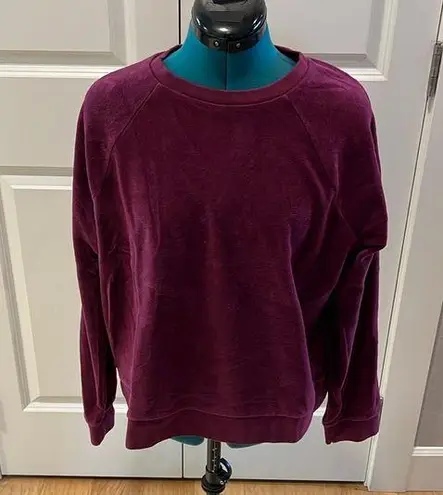 Banana Republic  Velvet Sweatshirt