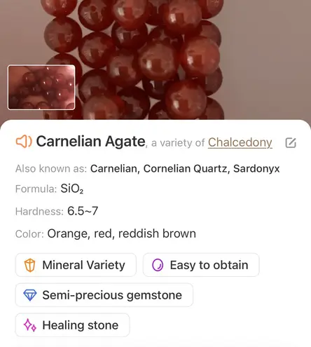 Handcrafted southwest style natural stone leather fringe medallion necklace