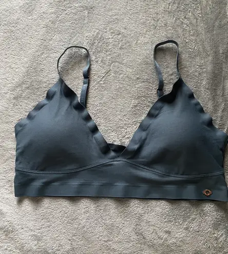 Danskin Bra