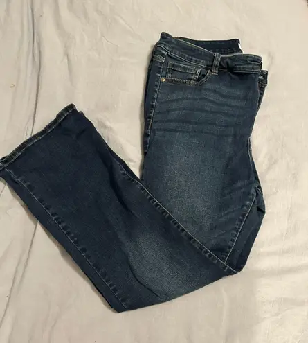 Lane Bryant Jeans