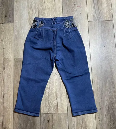 Tush Push Jean Shorts Multi Size 23