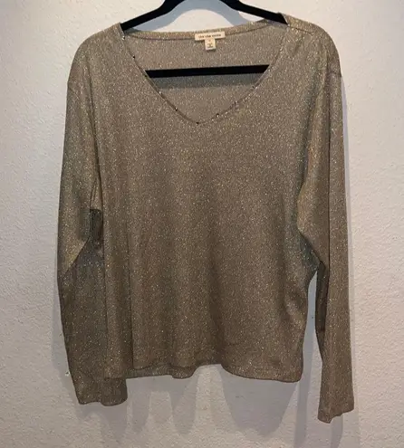 cha cha vente Gold Sparkle V Neck Lightweight Sparkly Sweater Size 1X