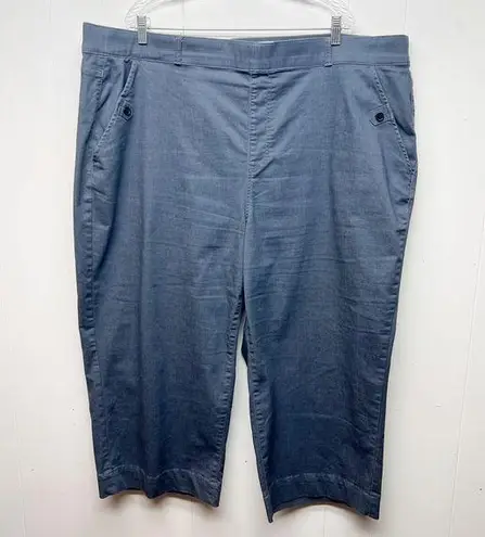 Terra & Sky  Pull On Crop Gray Women's High Rise Pants Size 3X