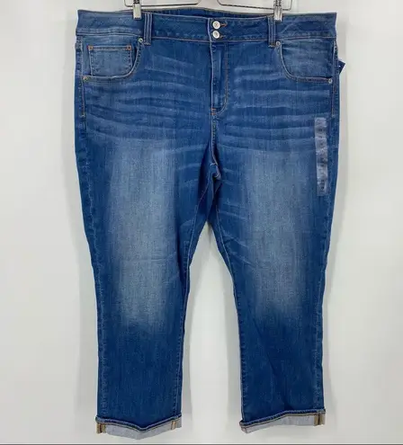 American Eagle AE Ne(x)t Level Artist Crop Jean Size 24 Long NWT