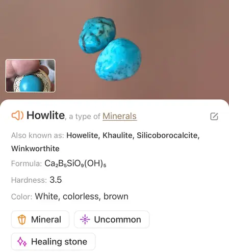 Handcrafted southwest style natural stone leather fringe medallion necklace