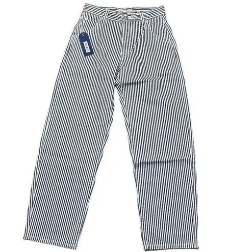 NWT Daily Blue Women's Mantra Wide Barrel Striped Pants Size 24 Wuther Casual