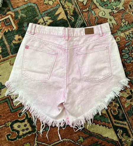 Urban Outfitters BDG Shorts