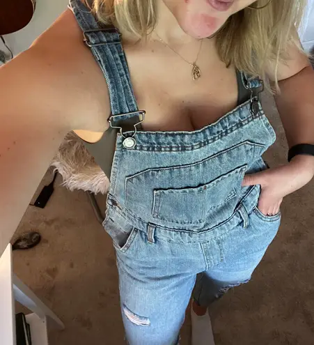 Wild Fable Denim Overalls