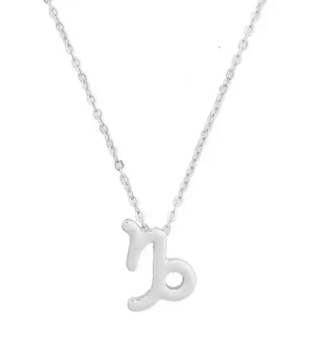 🆕Capricorn Zodiac Astrology Pendant Necklace