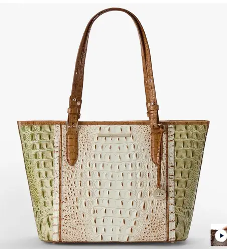 Brahmin Medium Asher Fern Williamette Leather Tote Bag