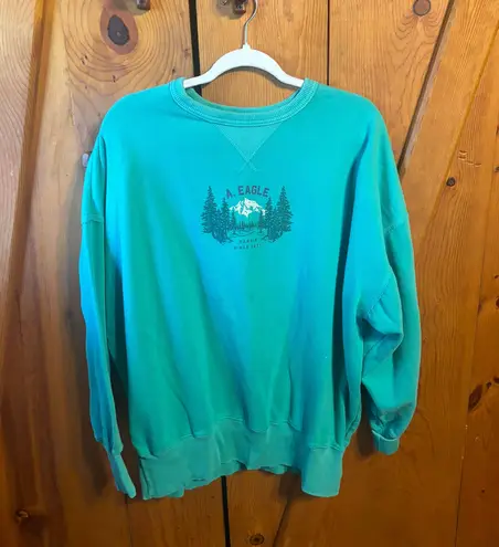 American Eagle  Outfitters Sweatshirt