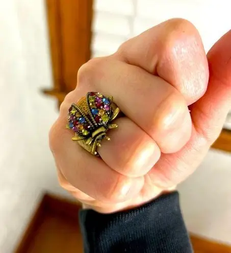 Rainbow Beetle Bronze Colored Ring OS Red