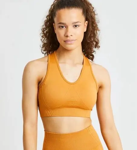 ABYL Balance V2 Seamless Sports Bra in Spiced Orange Size Large
