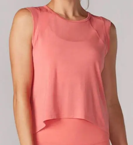 $45 Tavi Evolution Hi