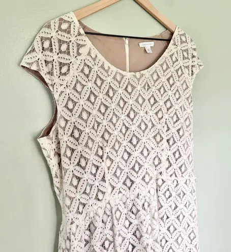 Garnet Hill Women’s Battenberg Lace Overlay Mini Dress White Cream Brown Size 16