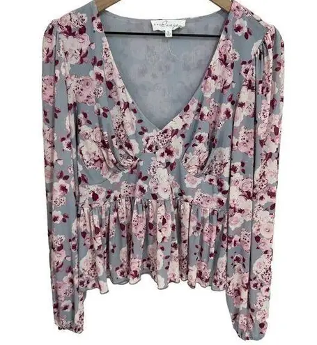 Brea Canyon Blue & Pink Floral Mesh Long Sleeve Top Size Large