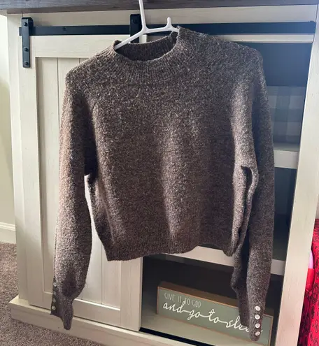 Francesca's Brown Sweater