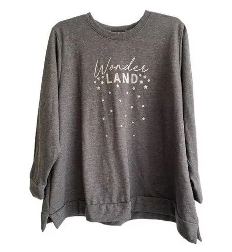 Lane Bryant  Plus Size Ladies Gray Sweatshirt Size 22/24‎