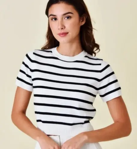 Happily Grey Sz L Striped White Black Crop Top Tee Shirt Stretch Pullover Blouse Size L