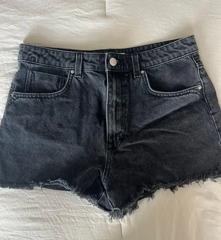 ZARA Jean Shorts