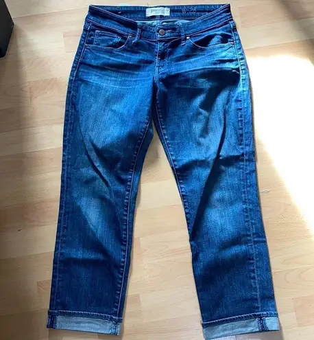 Holding Horses Anthropology Slim Cropped Boyfriend Jeans size 28