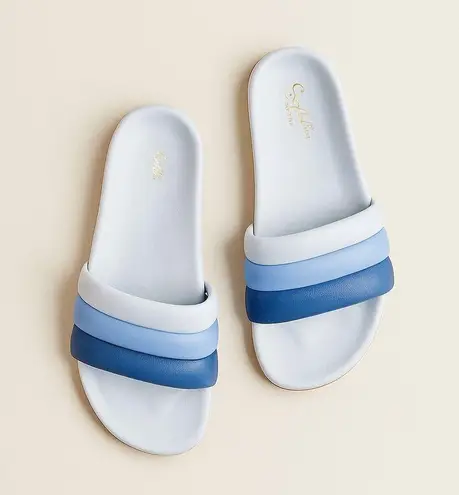 Seychelles Blue Ombre Leather Slides Sandals | Size 7 | Summer Poolside Comfort