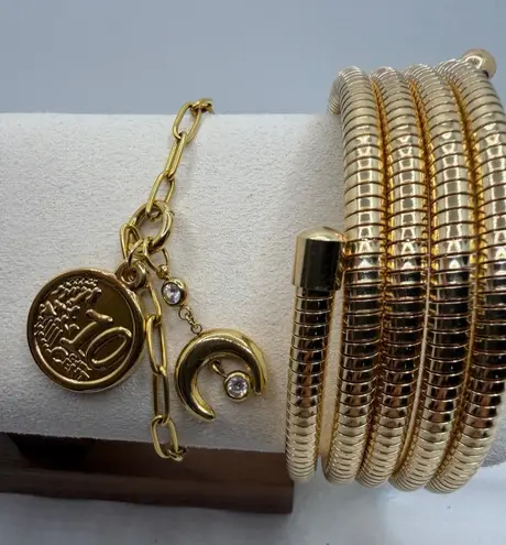 Gold Bracelet Bundle | Snake Coil + Coin Charm Chain Set