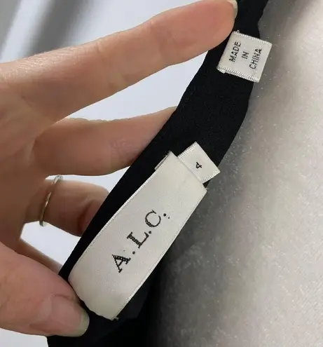 ALC Frank ALC Womens Size 4 Serena Floral Print 100% Silk Mini Dress Sleeveless V-Neck