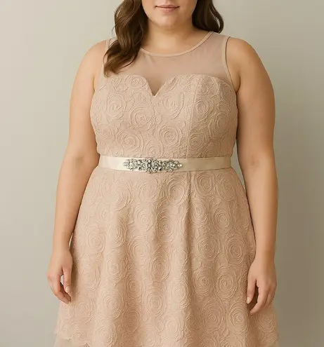 Ryu Lace Embellished Sleeveless Knee Length Dress in Tan Large