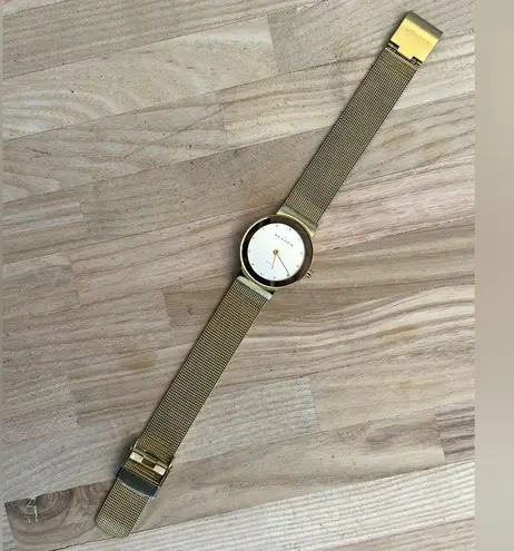 Skagen Steel Denmark Ladies Watch Gold