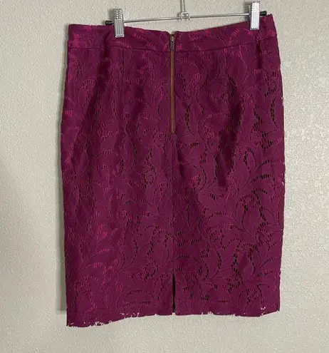 CAbi  Purple Lace Knee Length Career Pencil Skirt 6