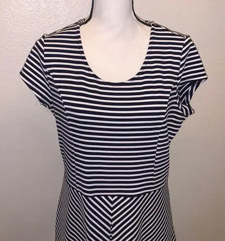 DE Collection Striped A-Line Office Formal Dress Navy White
