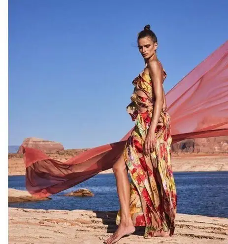 Cult Gaia NWT Whitney Gown Silk Floral Tiered Maxi Dress Size XS