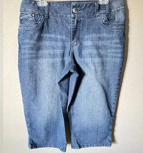 Lane Bryant  cropped jeans size 14